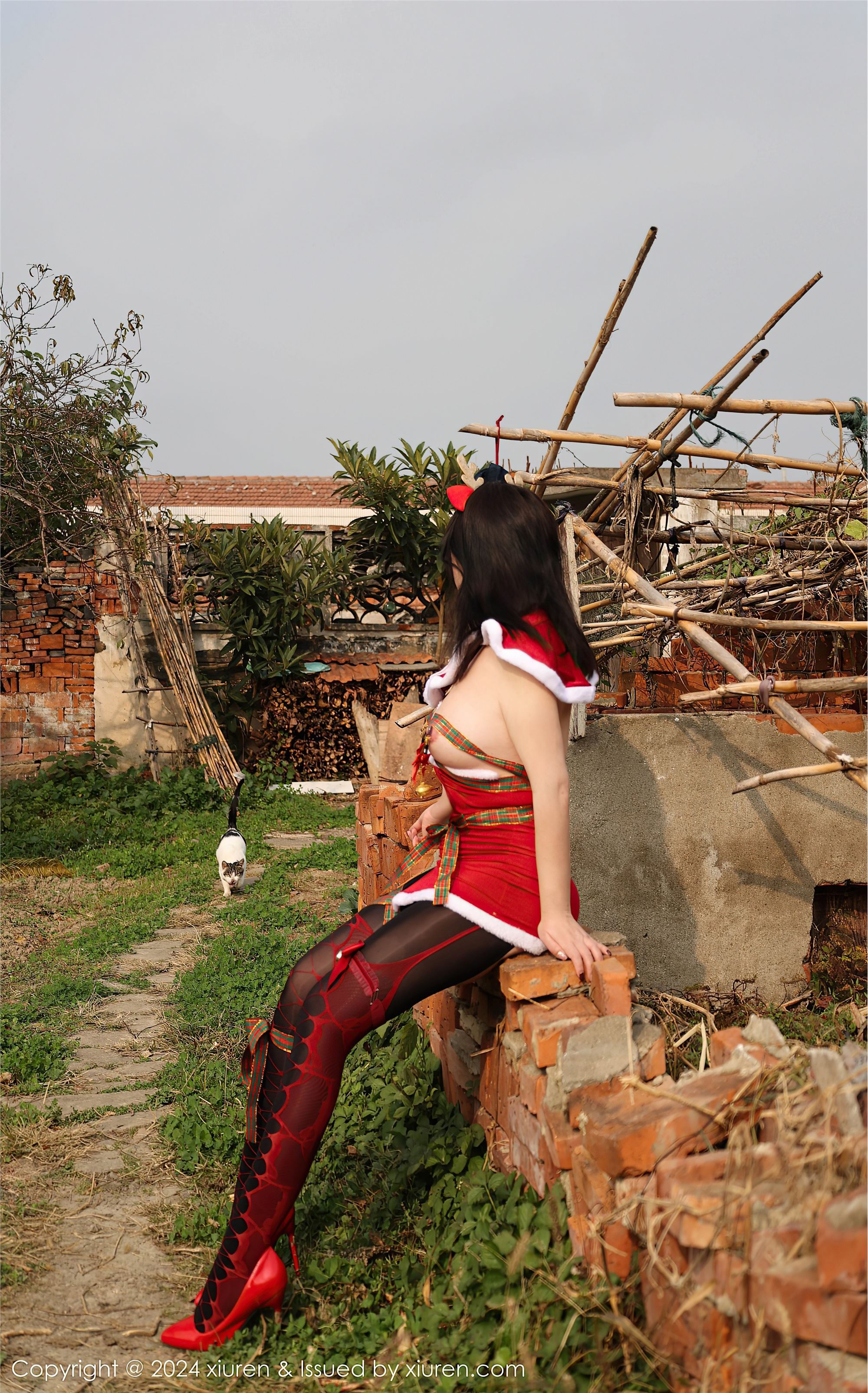 Xiuren秀人网 2024.12.20 NO.9630 小薯条nienie